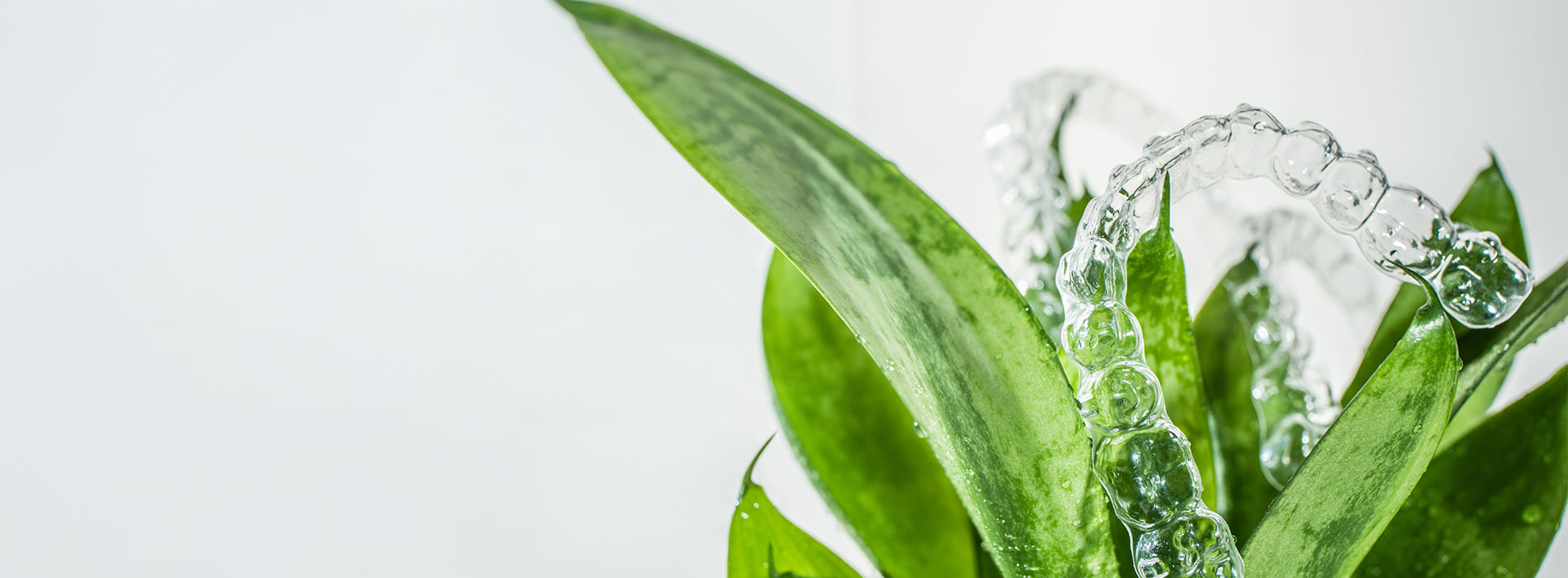 Marino Family Dental | Emergency Treatment, Sedation Dentistry and Cosmetic Dentistry